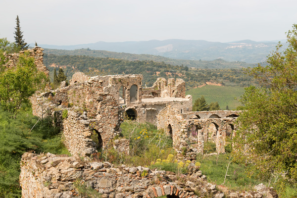 Power Your Brain With Nutrition