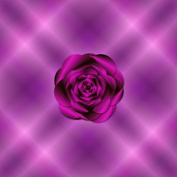 Pink Rose