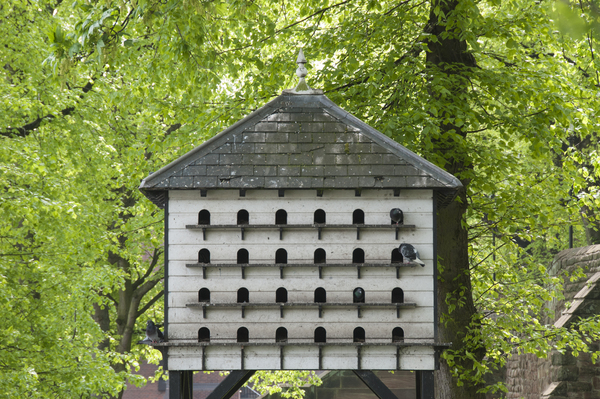 Large birdhouse