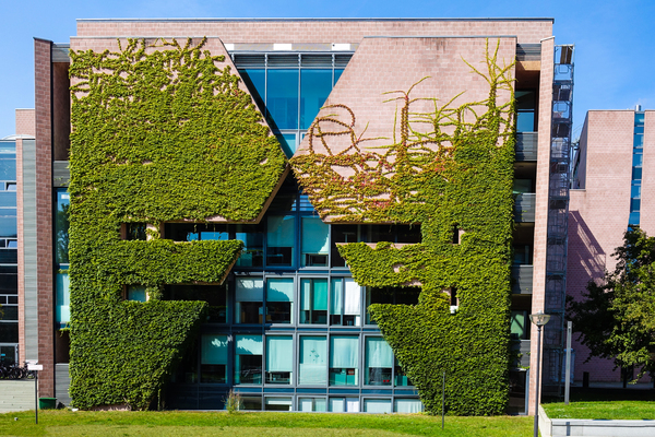 business house facade greening