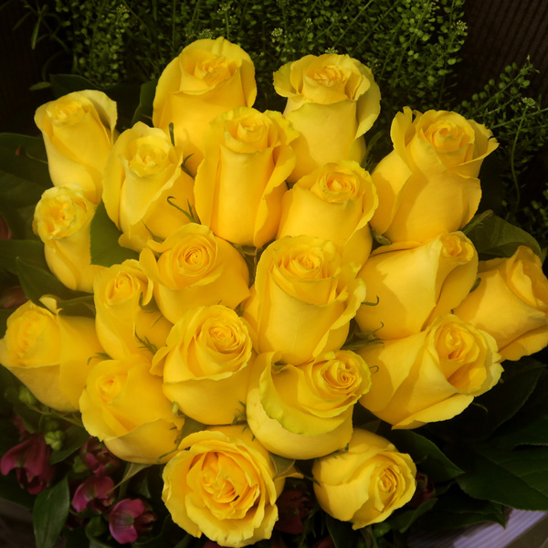 yellow roses 1