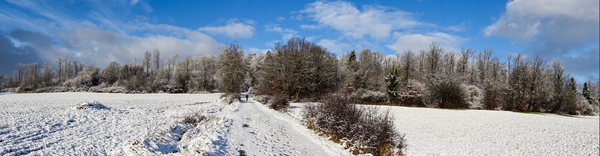 sunny snow landscape panorama