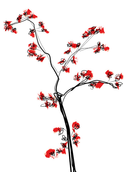 Plant & blossoms illustration