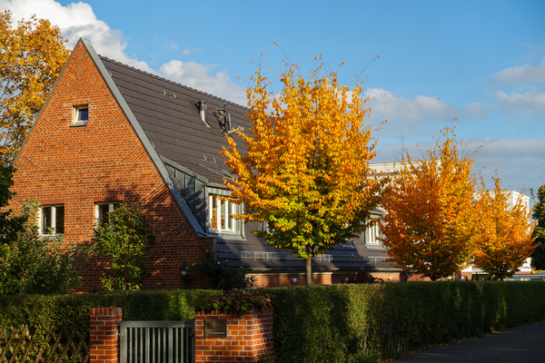 brick house and autumn trees