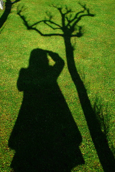 Lady photographer shadow