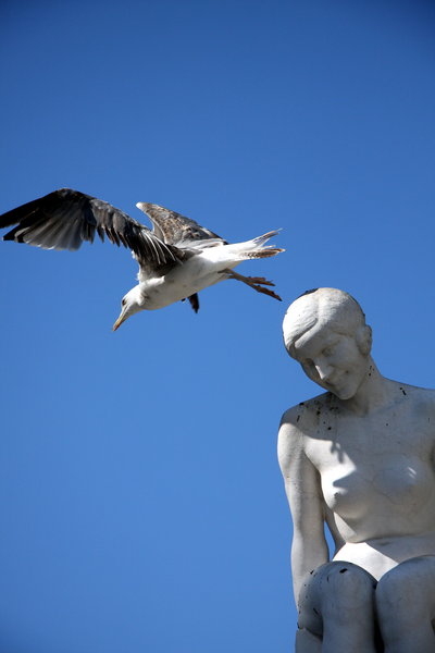 Seagull and sculpture