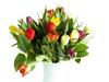 .bouquet.