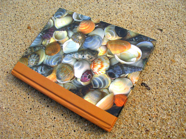 book cover with shells