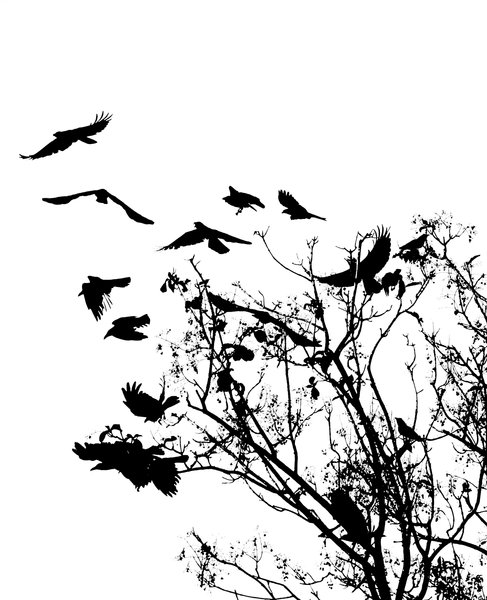 Silhouette of Crows