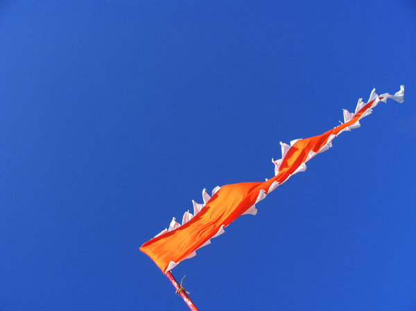The saffron flag