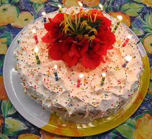 Birthday Cake Candles on Birthday Cake  Birthday Cake With Colored Candles And Flower Ornaments