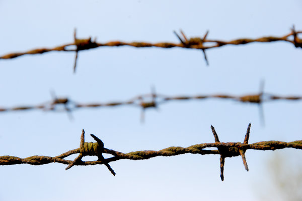 Barbed wire texture