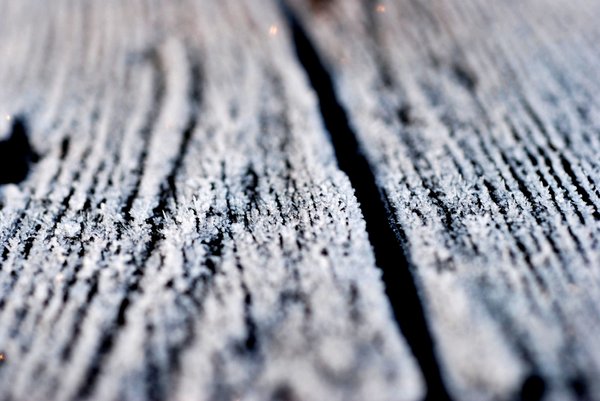 Wood and frost 4