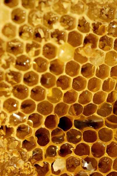 Honeycomb 2