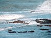 Ocean Waves 2
