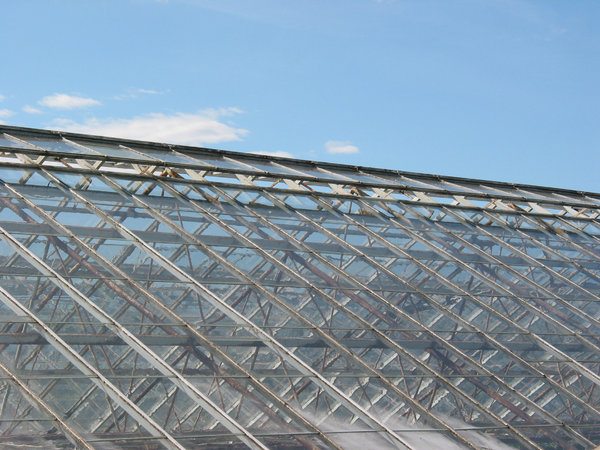greenhouse 2