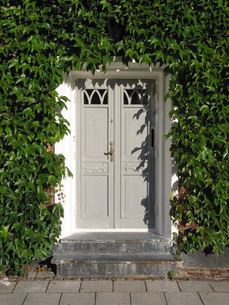 residential door