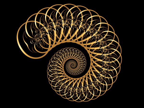 Spiral shell 5