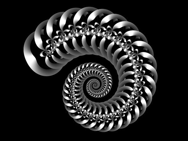 Spiral shell 1