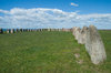 Ale's stones