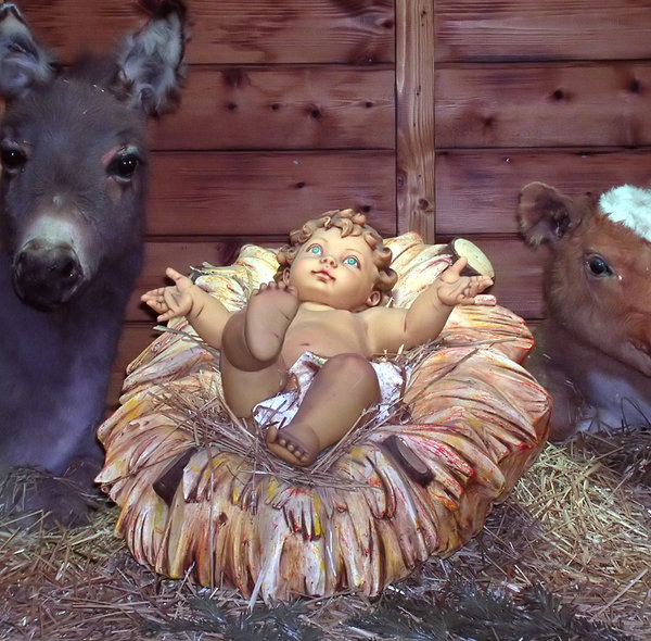 Baby in a manger 1