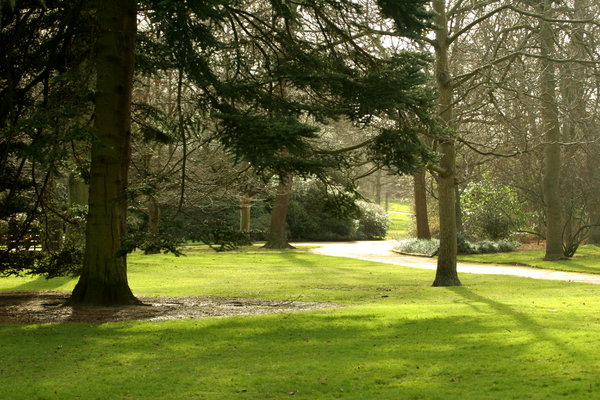 Park Landscape