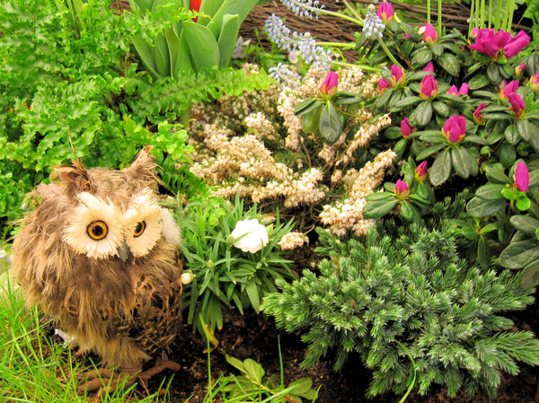 owl and plants still life