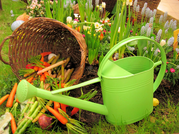 plastic vegetables gardening