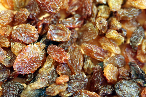 Food texture: Raisins