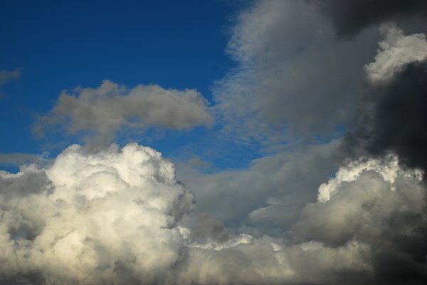 Cumulus