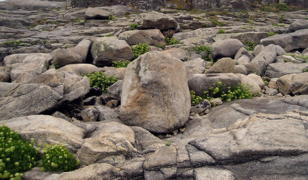 rocks-texture