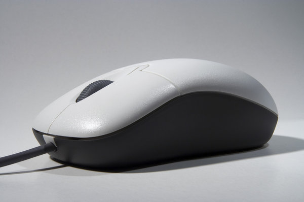 Computer mouse 1