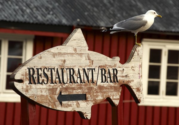Seagull on Restaurant/Bar sign