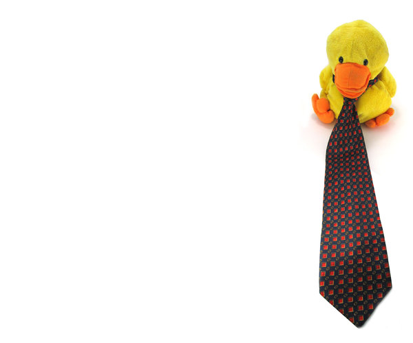 Quack-in-Tie B 3