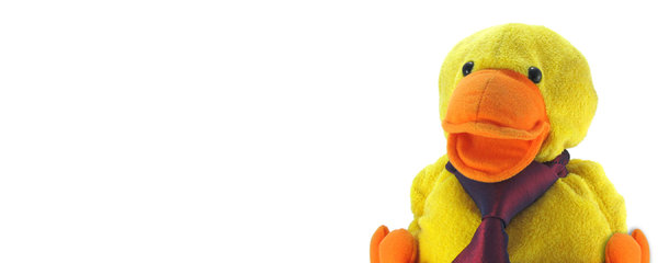 Quack-in-Tie 1