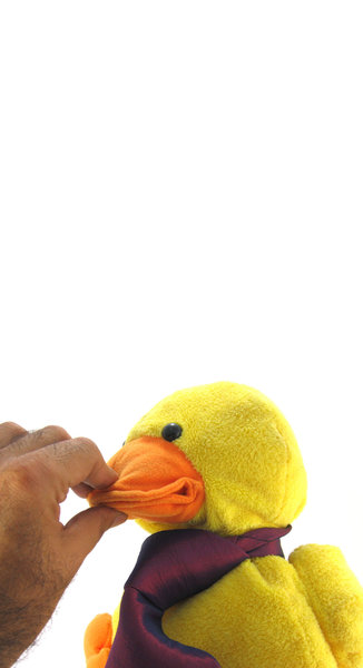 Quack-in-Tie 4