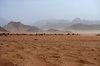 Tempestade de areia no deserto Wadi Rum
