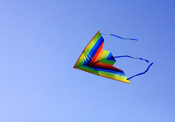 Kite Flying 3