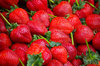 Sommer-Erdbeeren