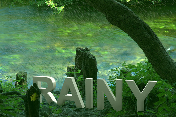 Rainy Season