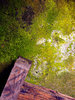 Texture 1