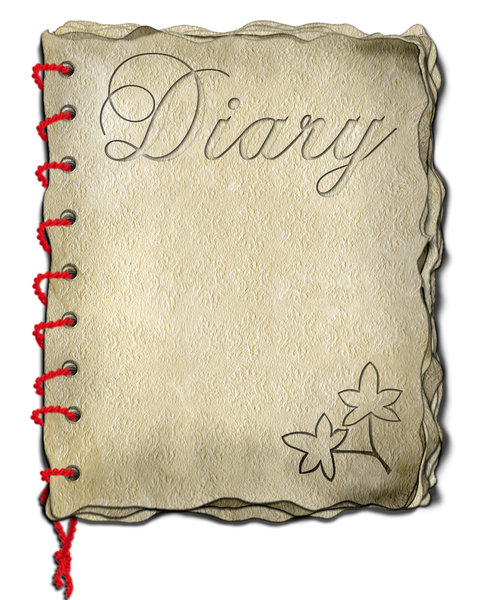 old diary 2