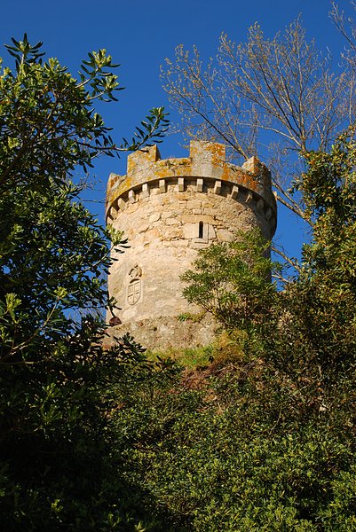 Circular tower 1