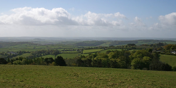 Devon landscape