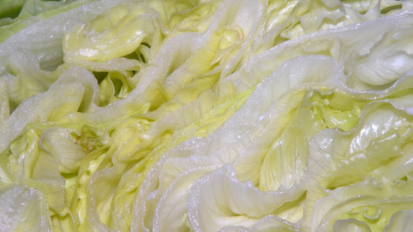 Sliced Iceberg lettuce 1