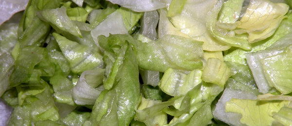 Sliced Iceberg lettuce 3