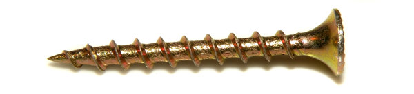 Single stainless screw 1
