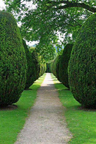 veldamarden778