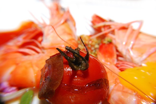 food:tomato&prawn
