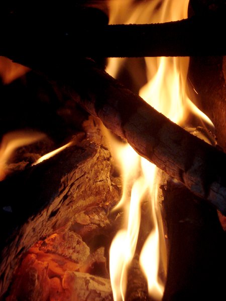 Firewood on Fire 2